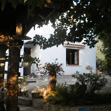 Haldej Apartman Moscenicka Draga