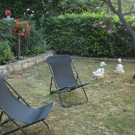 Apartment Haldej *