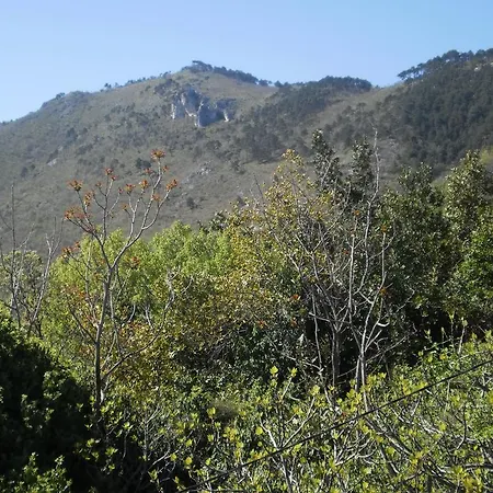 Haldej * Moscenicka Draga