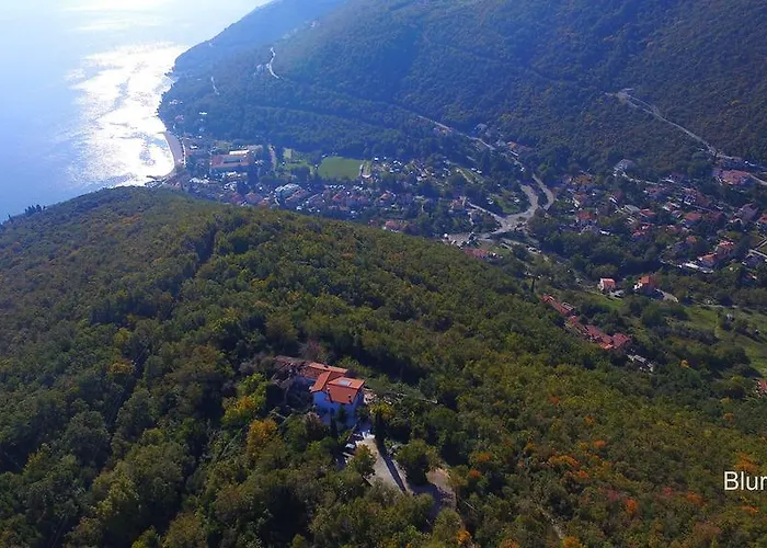 Haldej