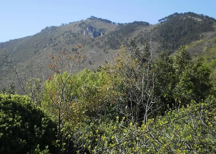 Haldej * Moscenicka Draga